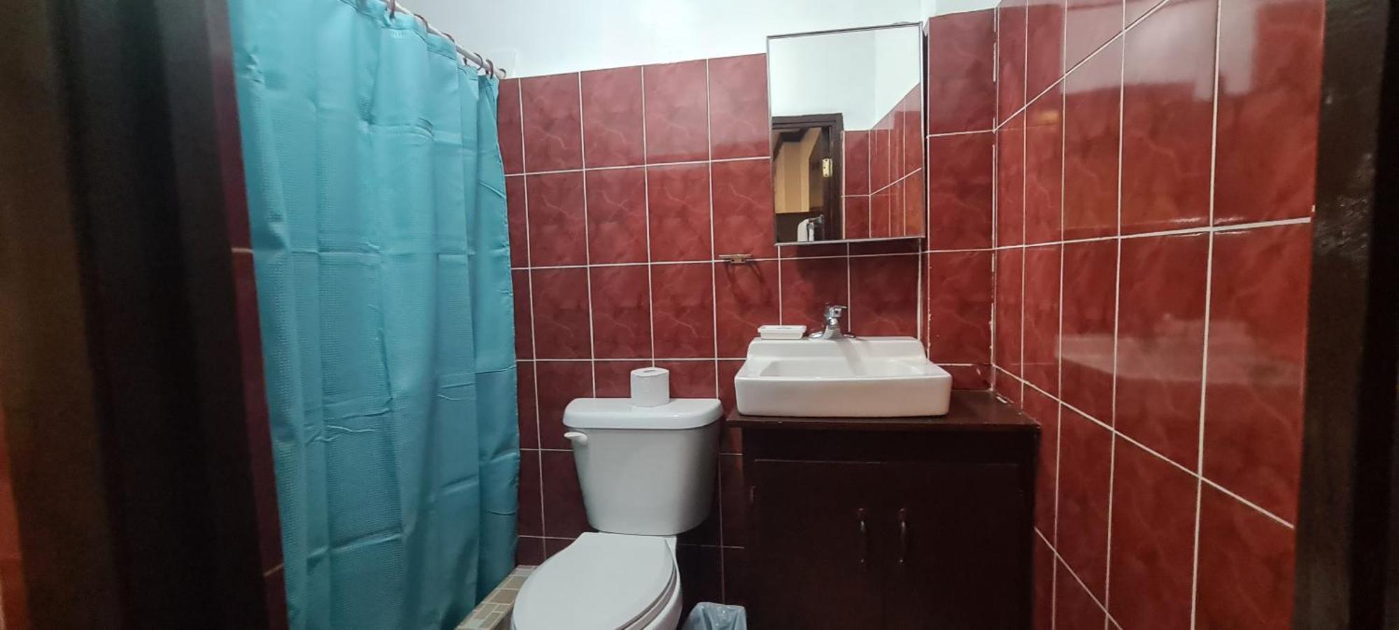 Palau Paradise Comfort Корор Номер фото